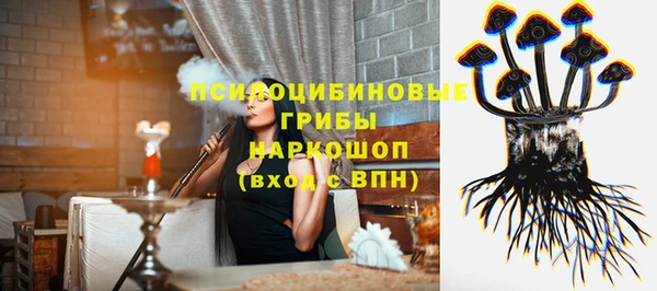 spice Баксан