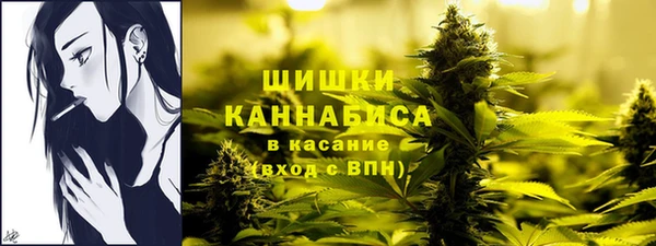 spice Баксан